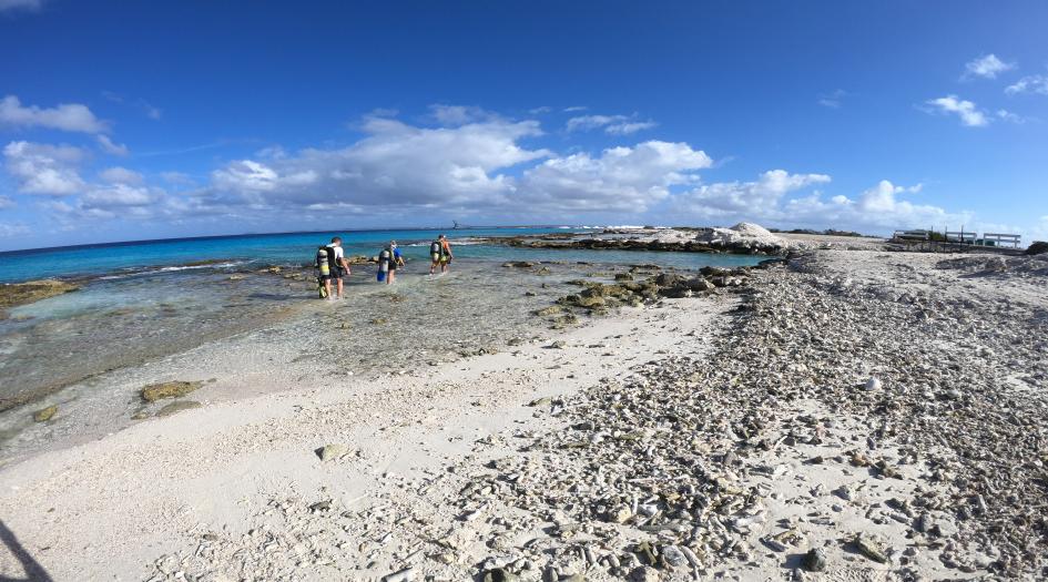 Tori's Reef, Bonaire Dive Site