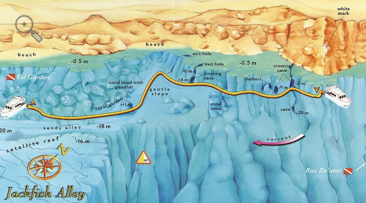 Jackfish Alley Dive Site Scuba Diving Sharm El Sheikh, Egypt