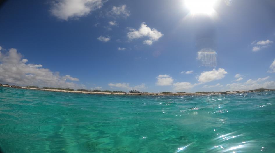 Jeannie's Glory Dive Site Scuba Diving Bonaire, Dutch Caribbean
