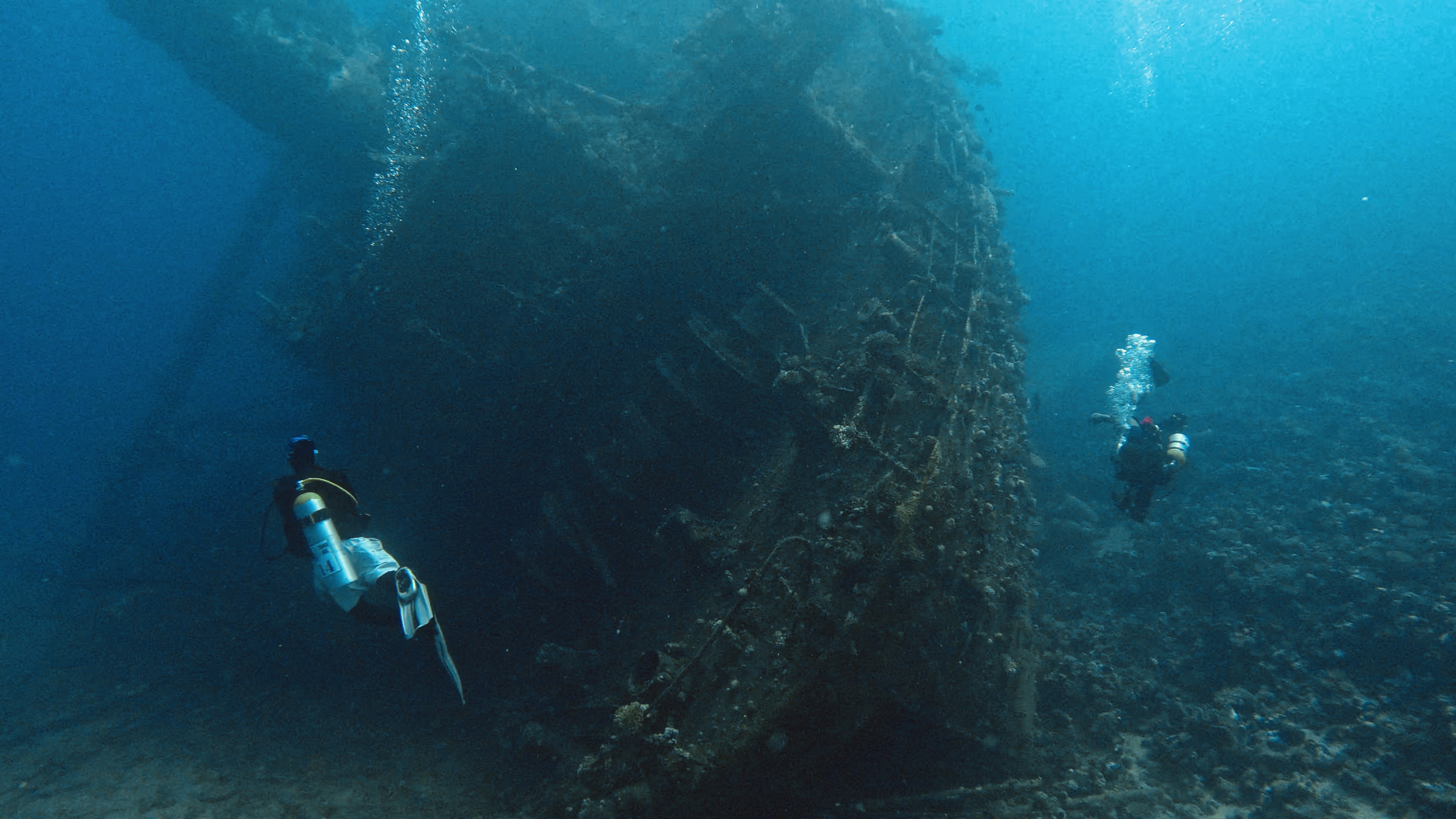 Giannis D wreck Dive Site Scuba Diving Shaab Abu Nuhas, Egypt