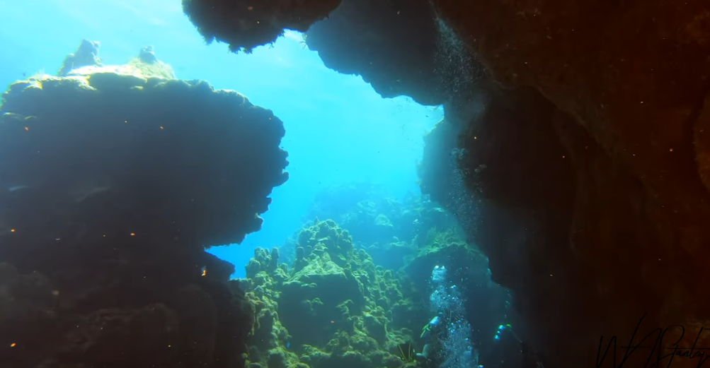 Spooky Channel Dive Site Scuba Diving Roatan, Honduras
