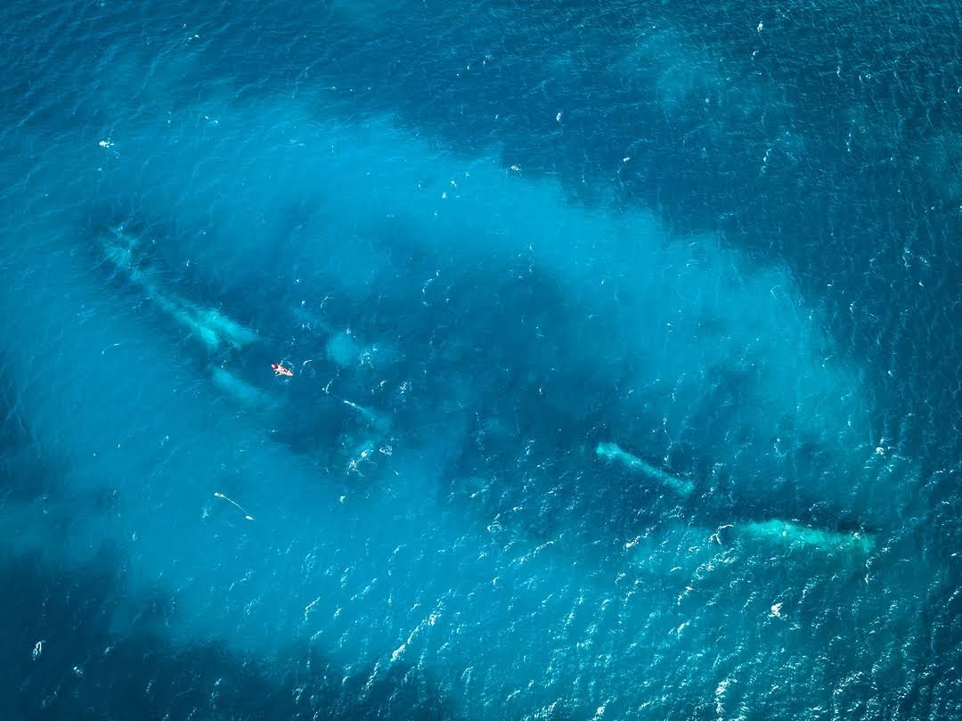 Antilla Wreck, Aruba Dive Site