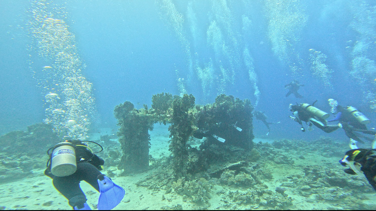 Quay Dive Site Scuba Diving Sharm El Sheikh, Egypt