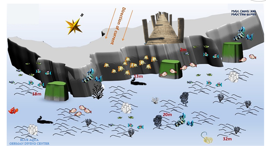 Middle Abu Soma Dive Site Scuba Diving Safaga, Egypt