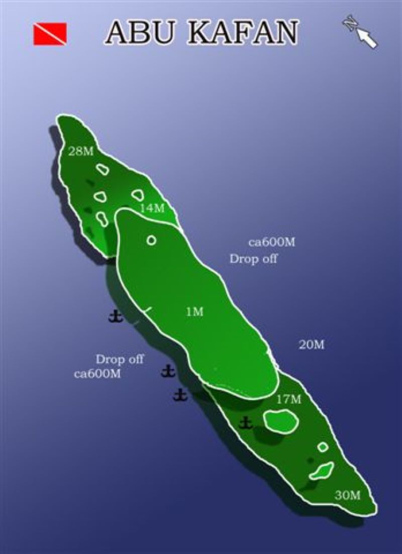 Abu Kafan Dive Site Scuba Diving Safaga, Egypt