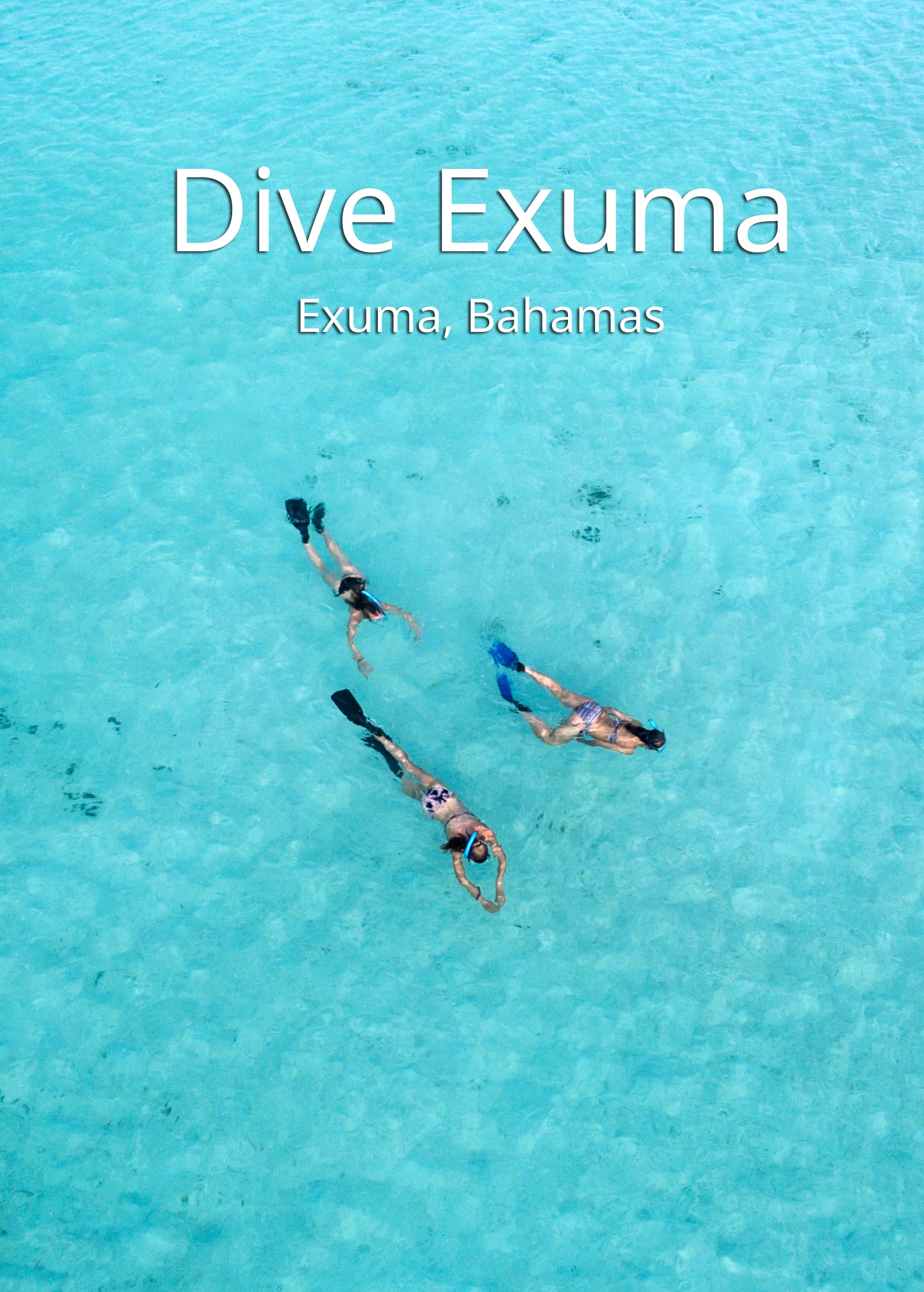 Dive Exuma Bahamas The Scuba Directory
