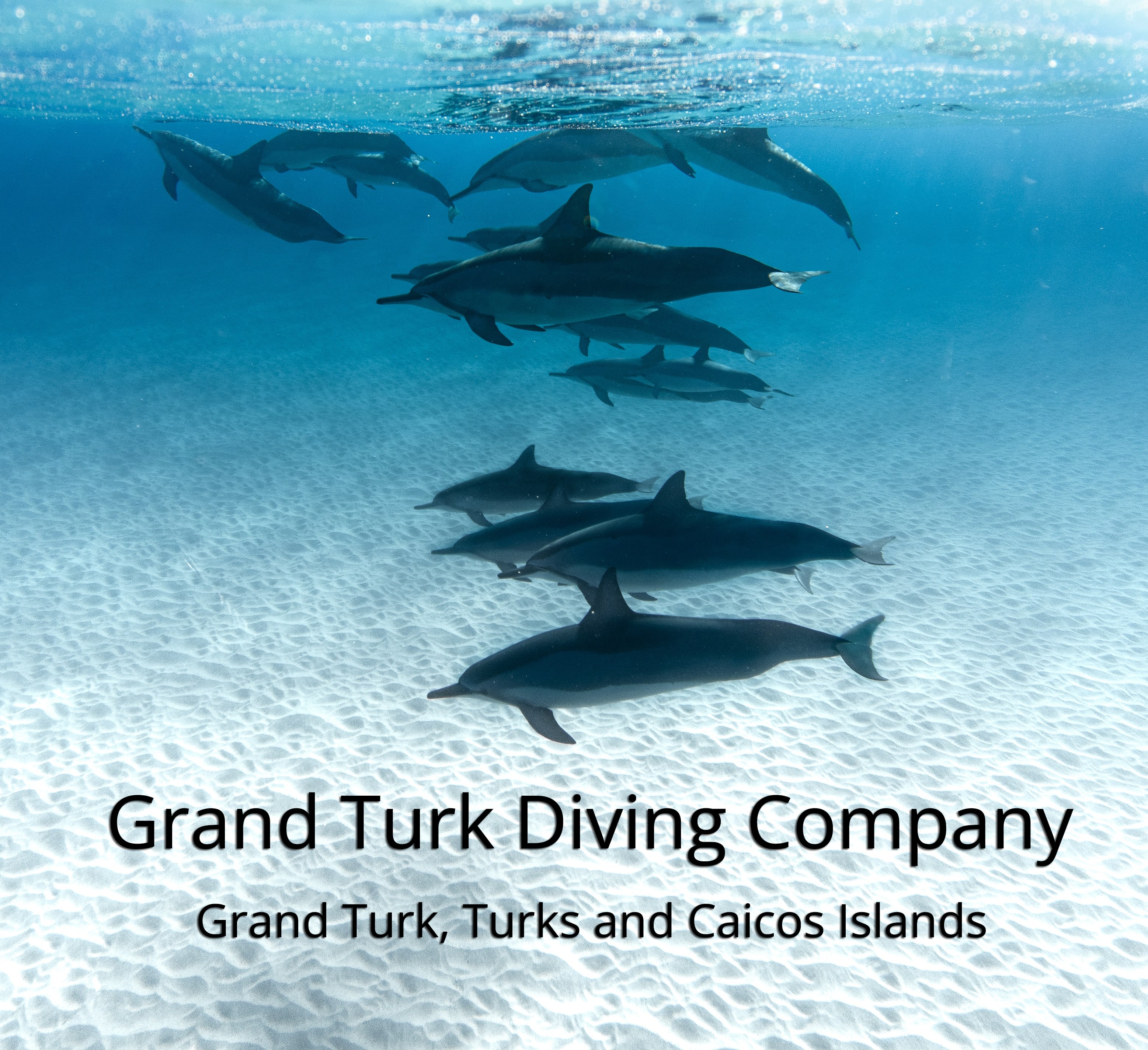 Grand Turk Diving Company Grand Turk The Scuba Directory