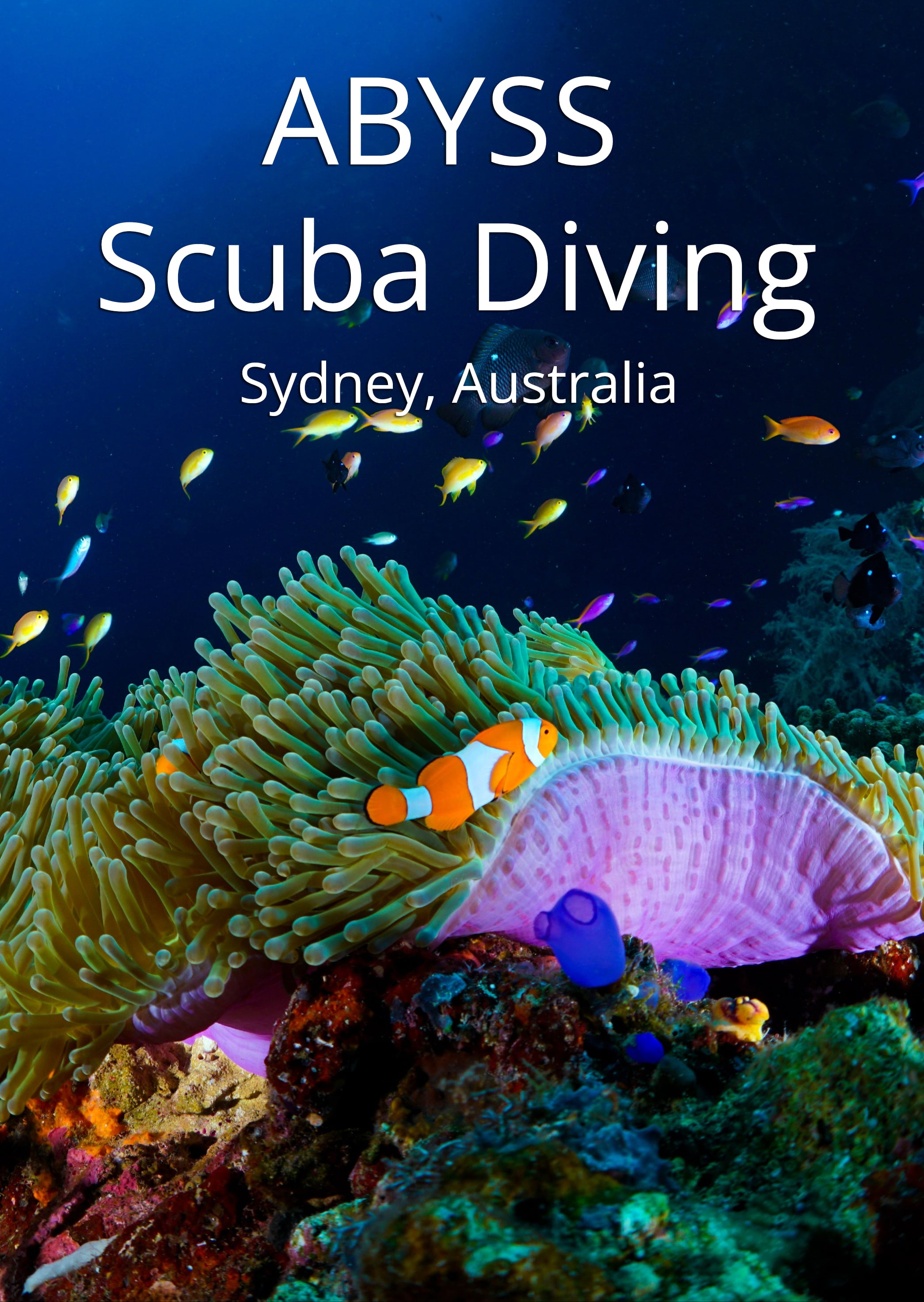 Abyss Scuba Diving Australia The Scuba Directory