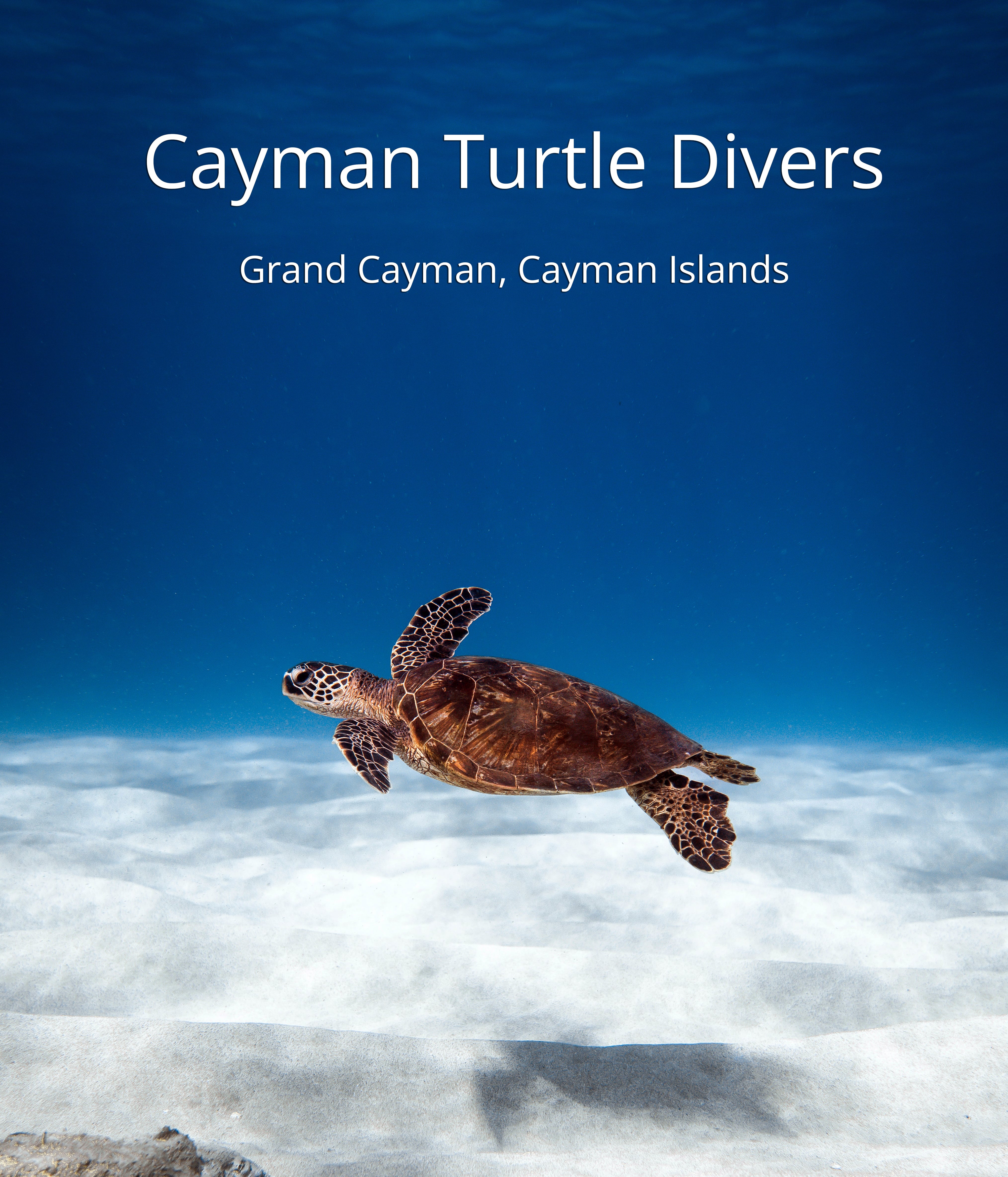 Cayman Turtle Divers The Scuba Directory