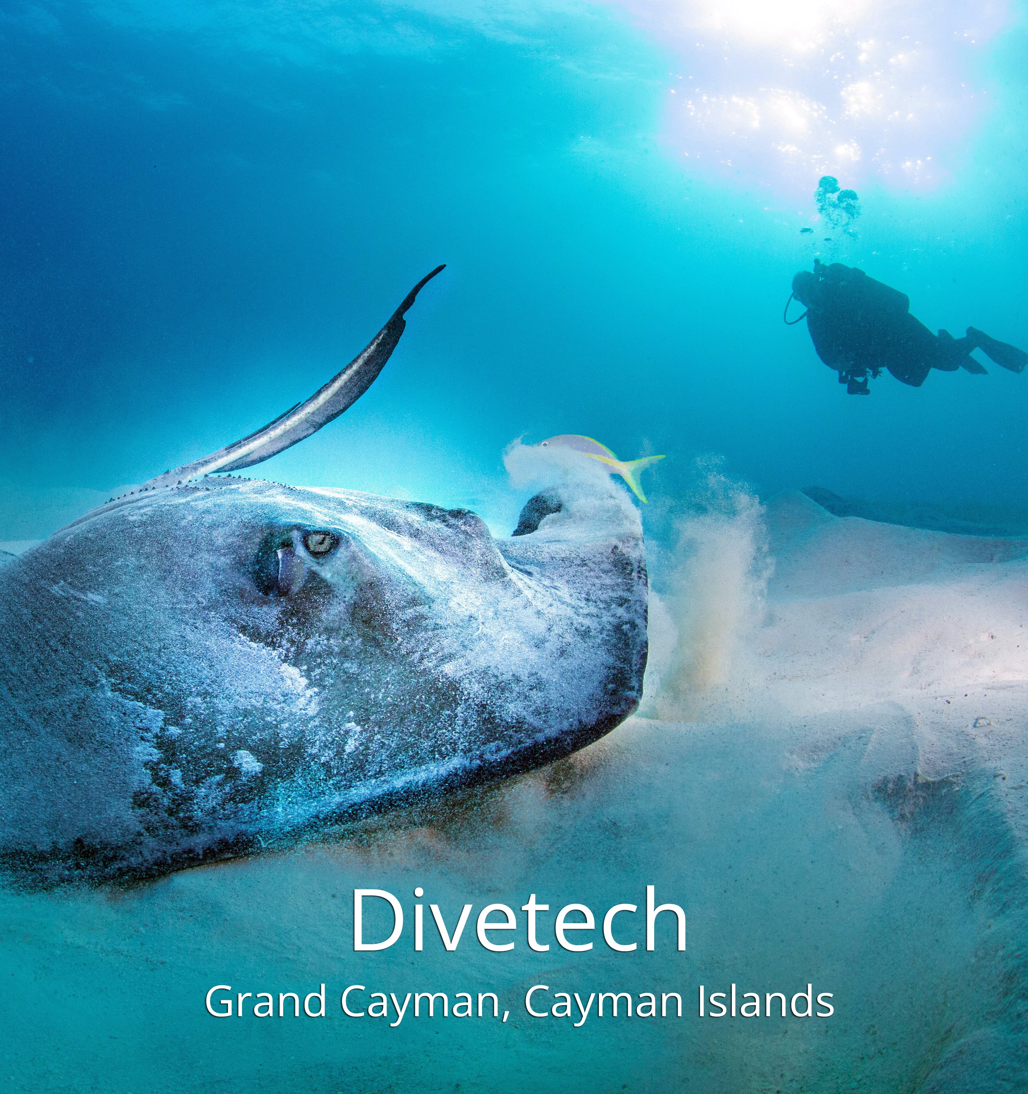 Divetech Grand Cayman The Scuba Directory