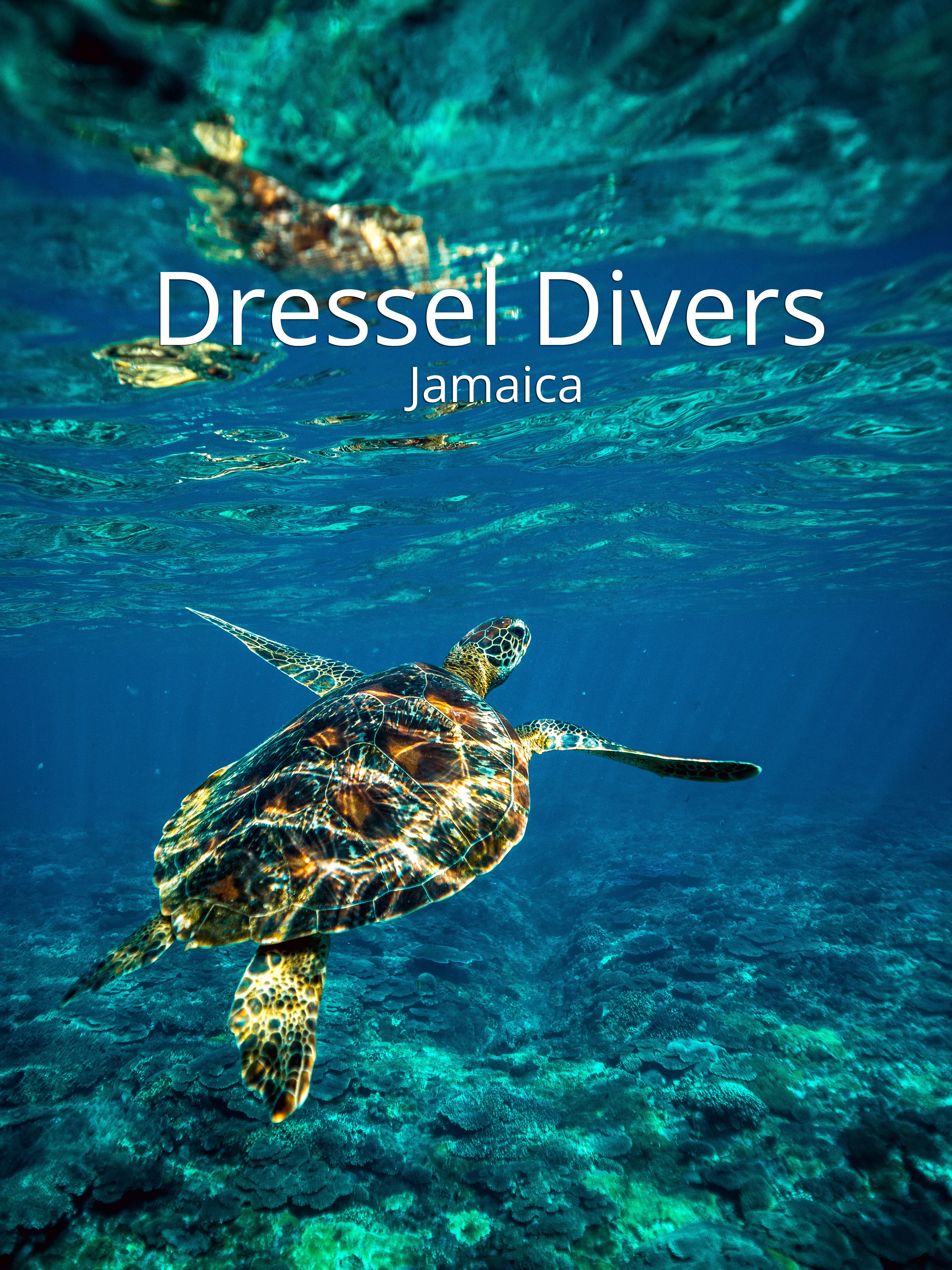 Dressel Divers Jamaica The Scuba Directory