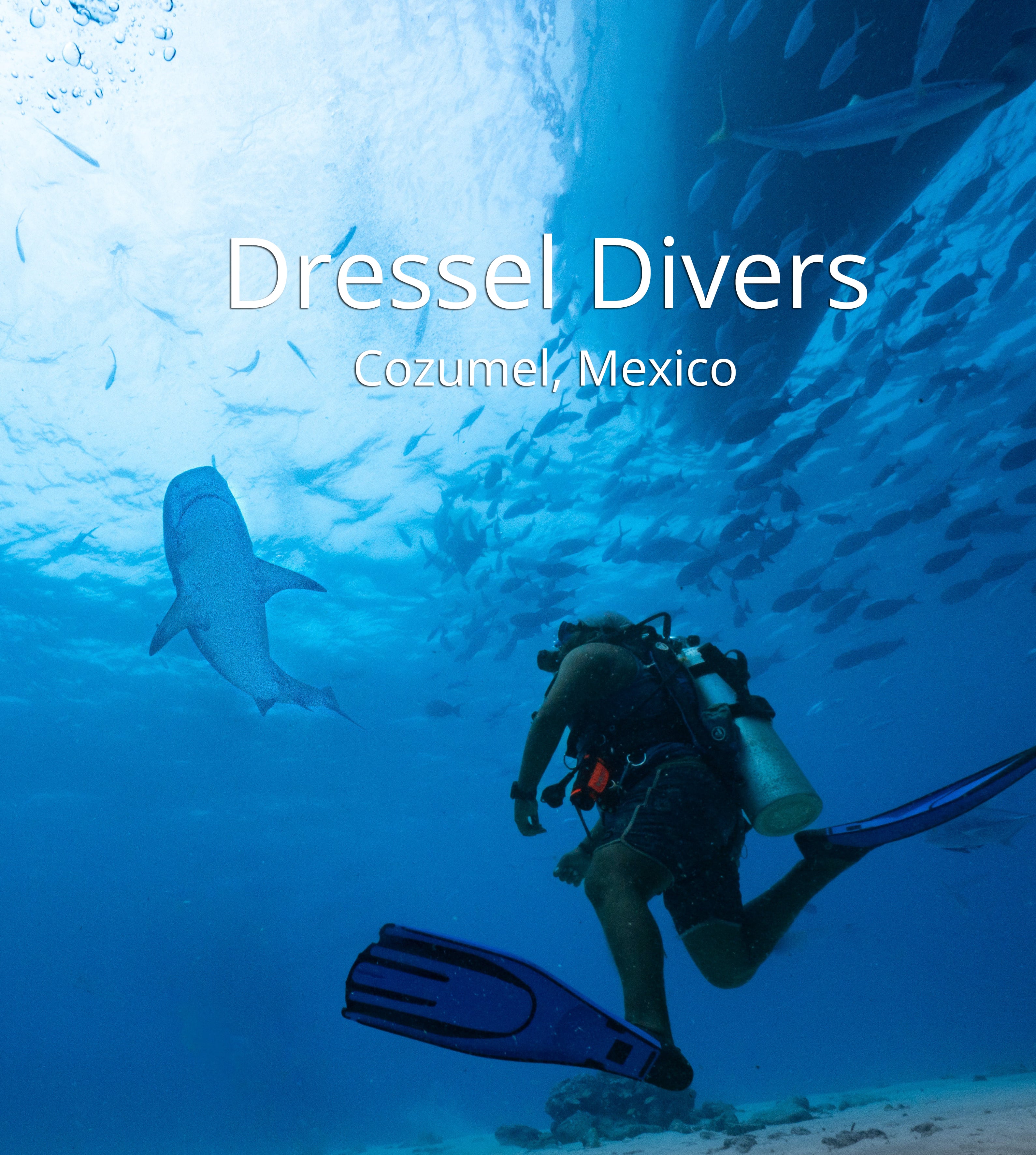 Dressel Divers Cozumel Mexico The Scuba Directory