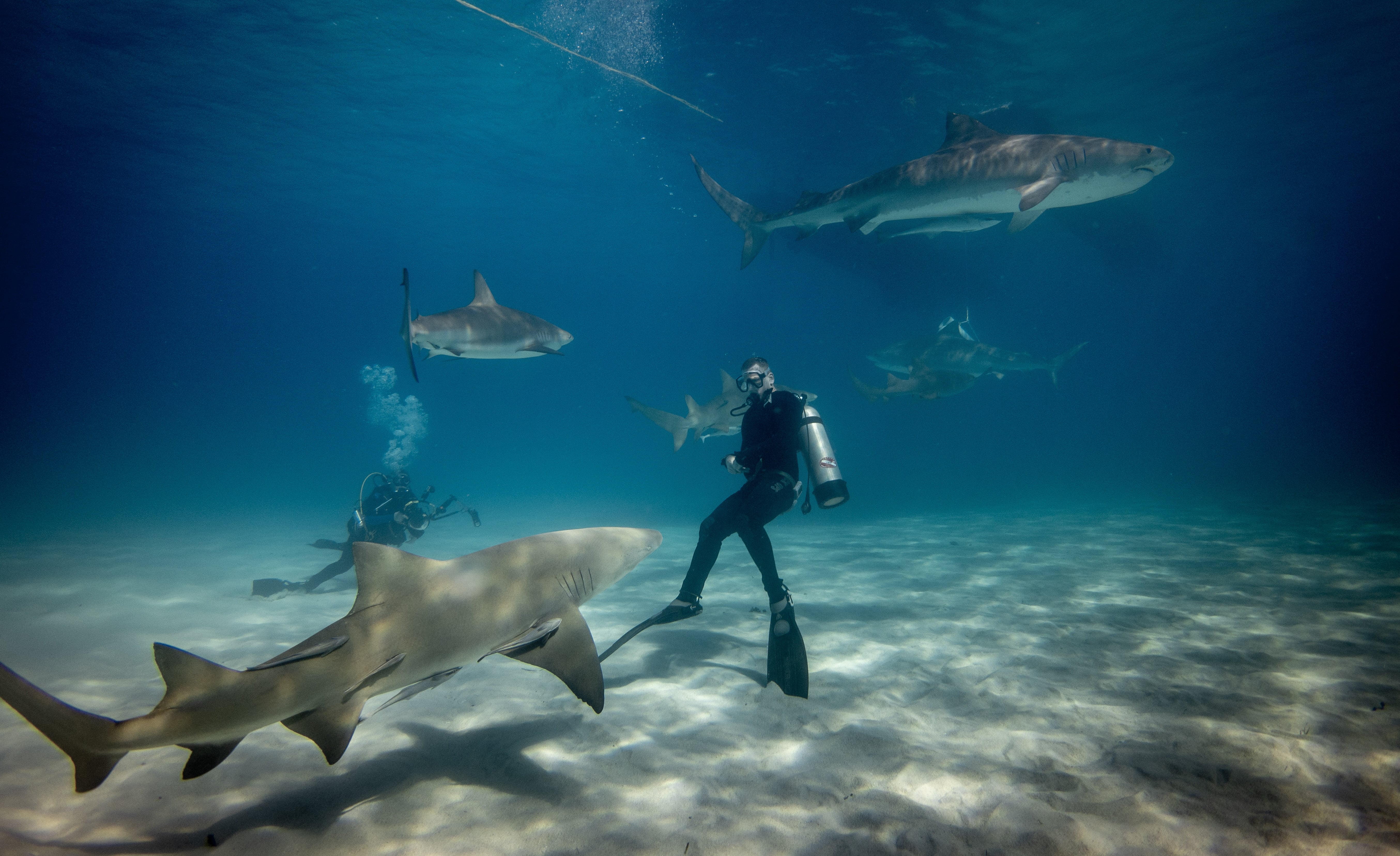 Diving in The Bahamas