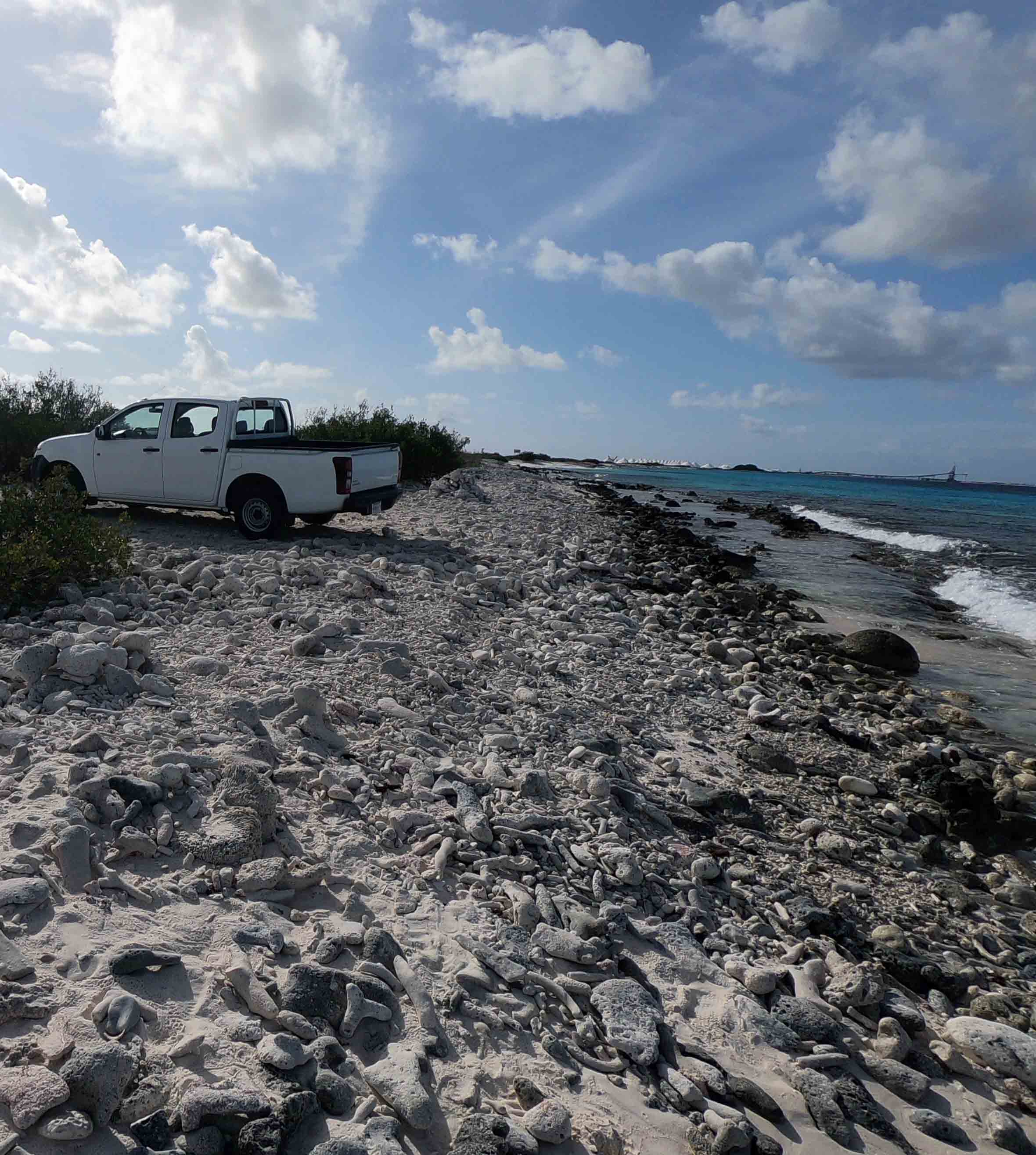 Shore diving from a rental vehicle in Bonaire
