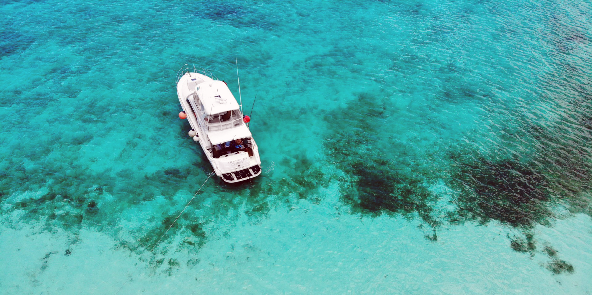 7 Best Dive Sites in Cozumel in 2024