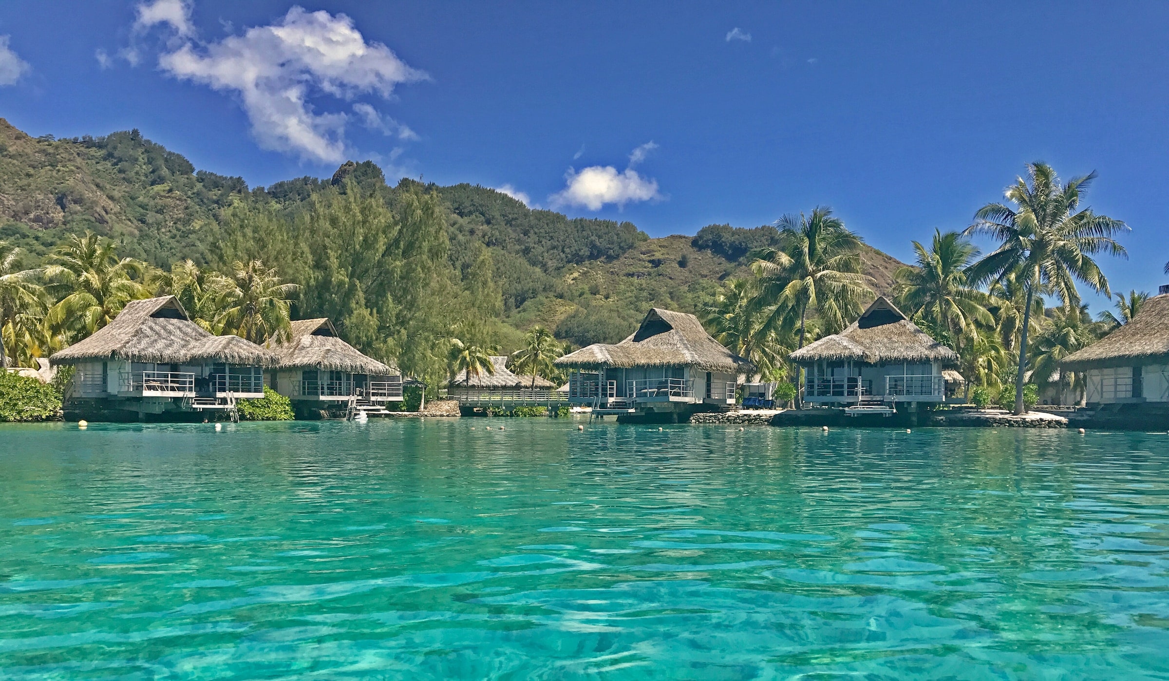 Diving in French Polynesia