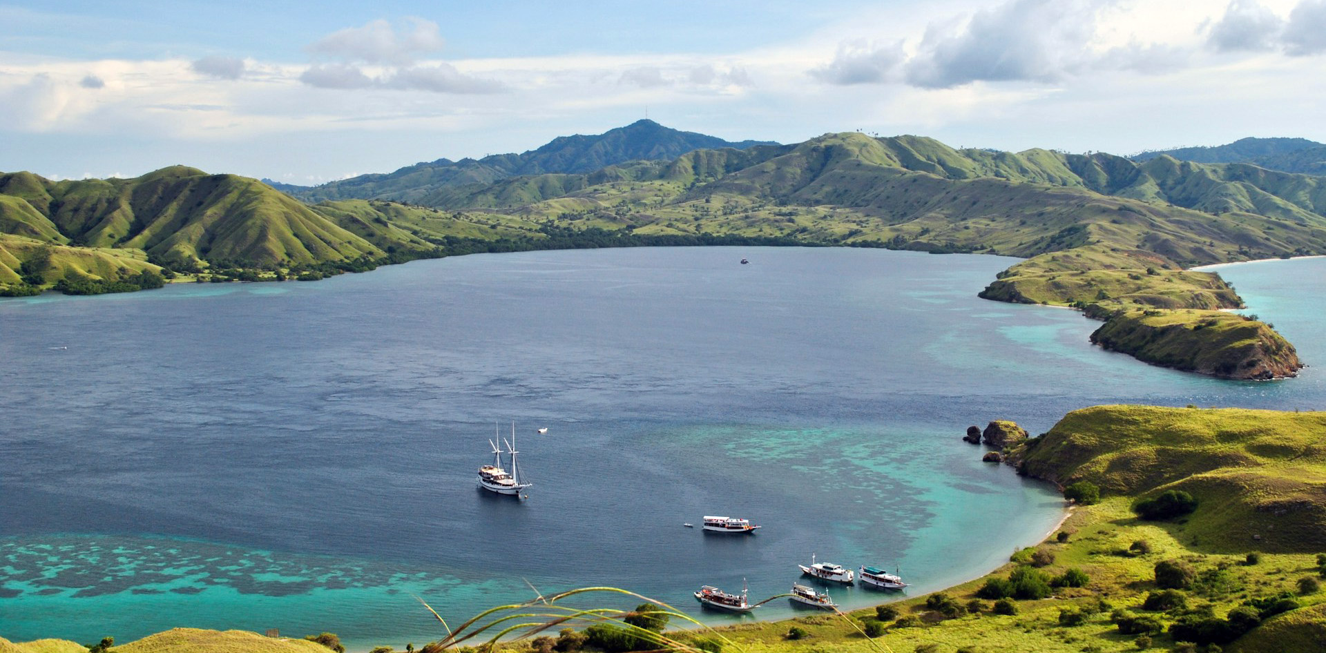 Diving in Komodo