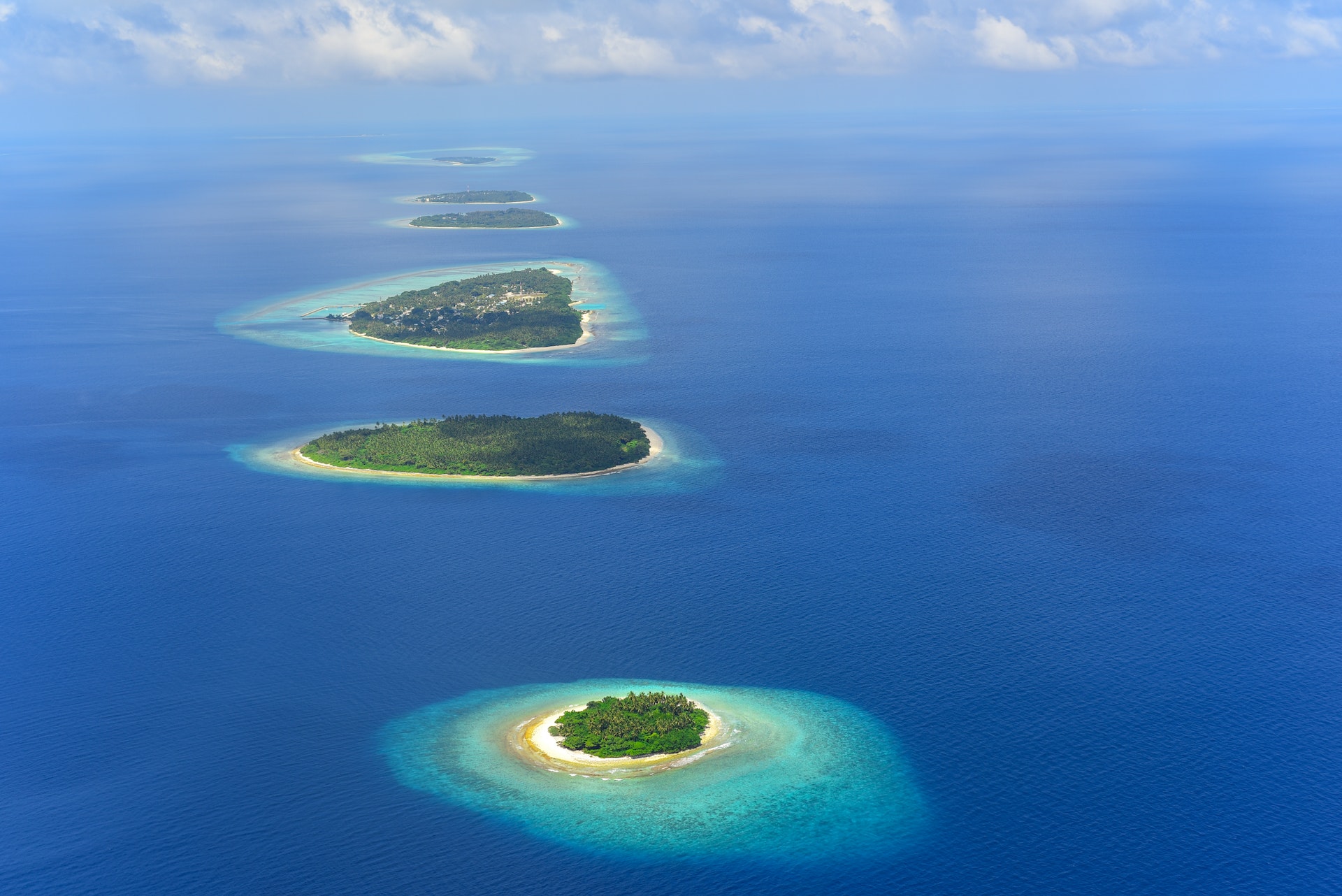 Diving in the Maldives