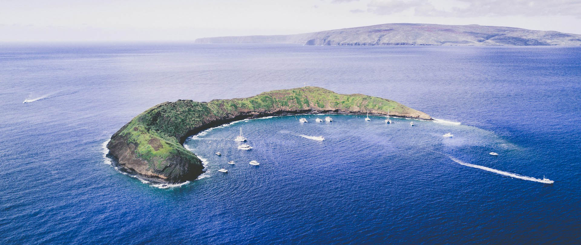 Scuba diving in Maui Hawaii