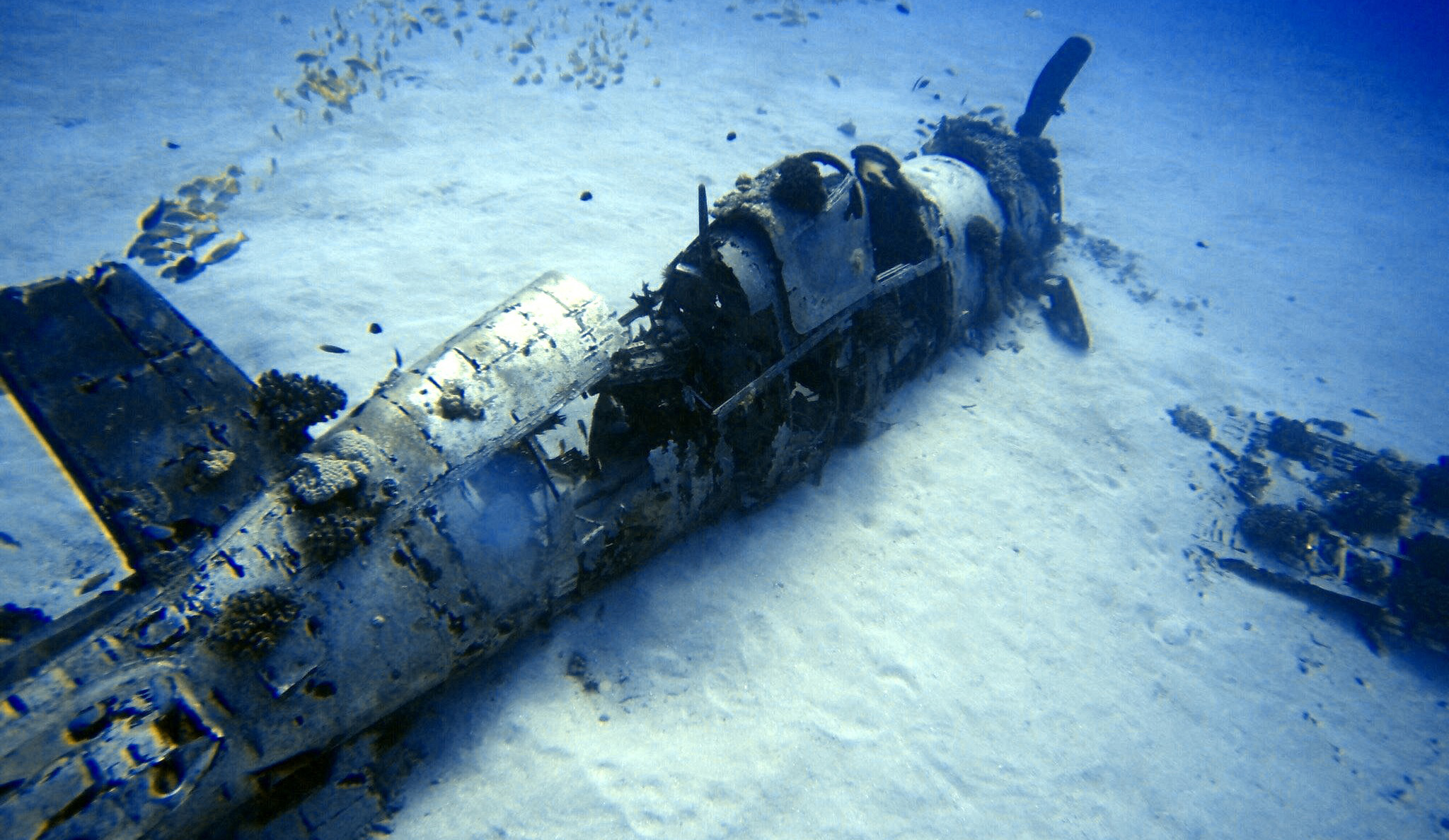 Wreck diving in Oahu Hawaii