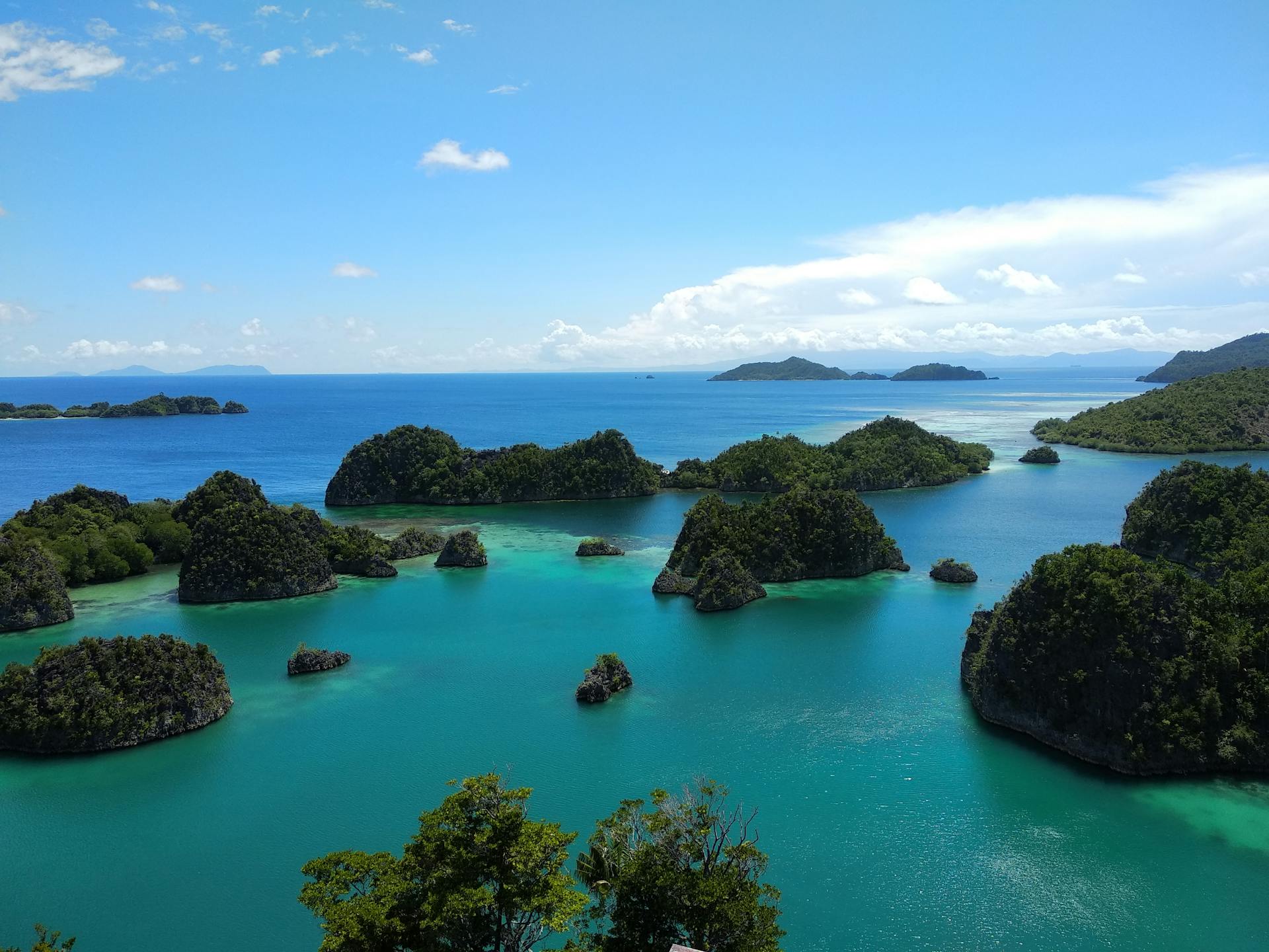 Diving in Raja Ampat