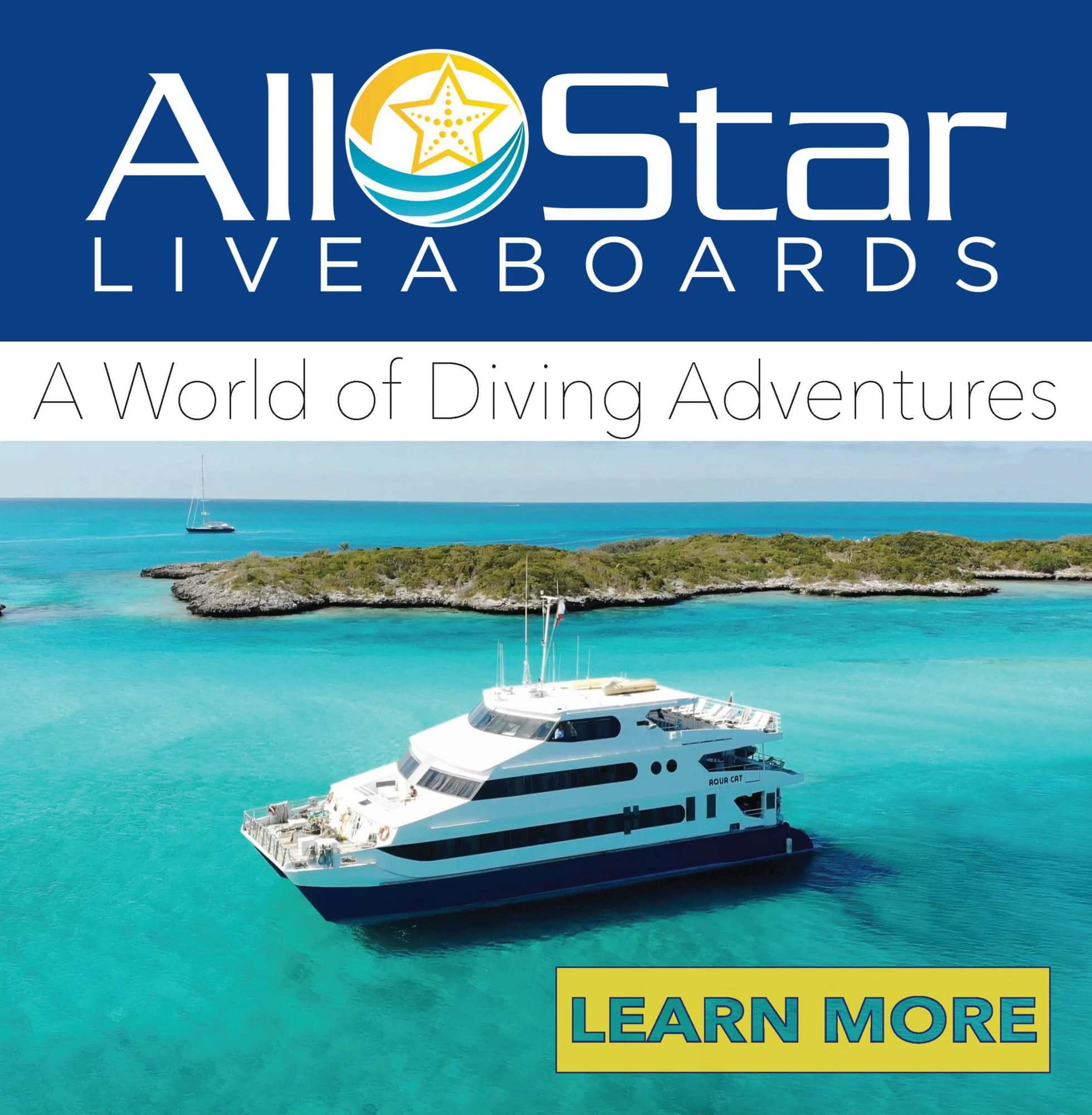 All Star Liveaboards