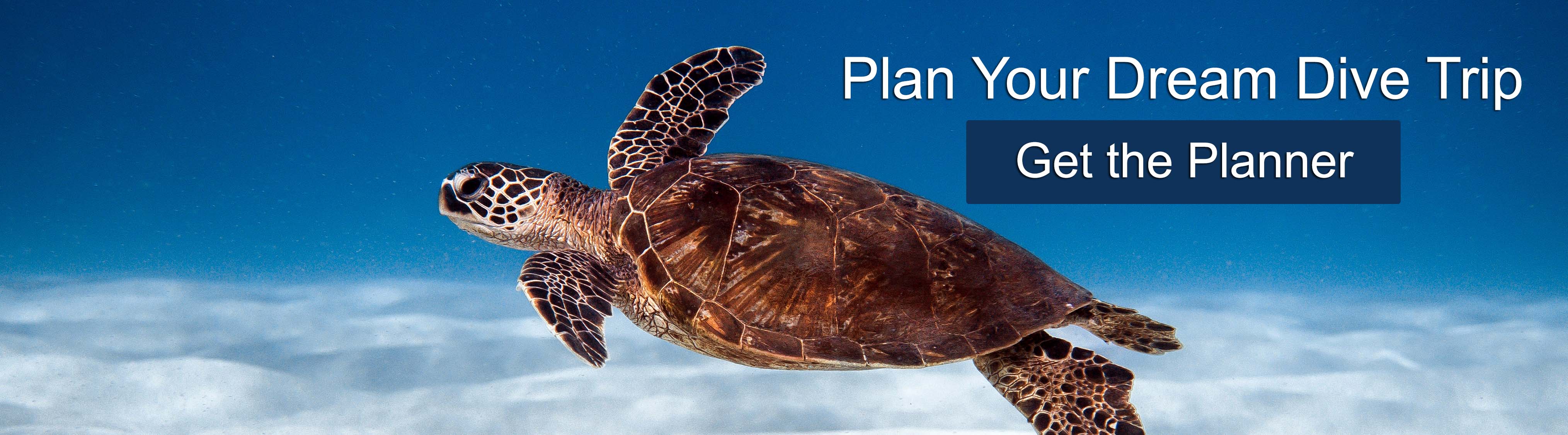 Ultimate Scuba Vacation Index Banner