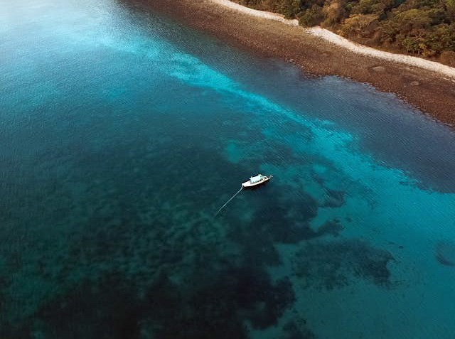 Ultimate Scuba Vacation Planner